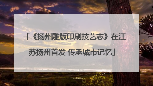 《扬州雕版印刷技艺志》在江苏扬州首发 传承城市记忆