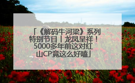 《解码牛河梁》系列特别节目丨龙凤呈祥！5000多年前这对红山CP竟这么好嗑