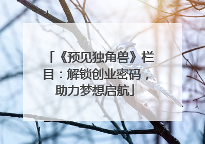 《预见独角兽》栏目：解锁创业密码，助力梦想启航