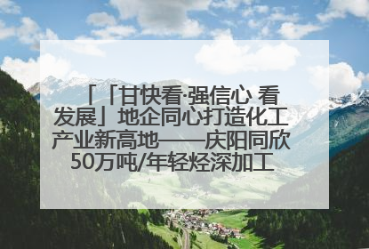 「甘快看·强信心 看发展」地企同心打造化工产业新高地——庆阳同欣50万吨/年轻烃深加工项目建设见闻