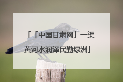 「中国甘肃网」一渠黄河水润泽民勤绿洲
