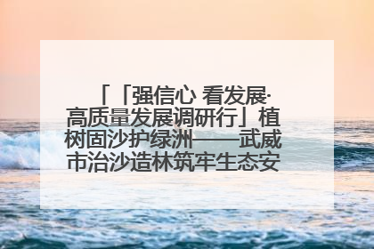 「强信心 看发展·高质量发展调研行」植树固沙护绿洲——武威市治沙造林筑牢生态安全屏障见闻