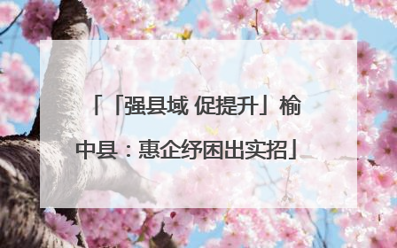「强县域 促提升」榆中县：惠企纾困出实招