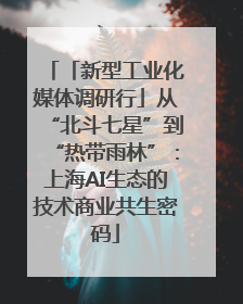 「新型工业化媒体调研行」从“北斗七星”到“热带雨林”：上海AI生态的技术商业共生密码