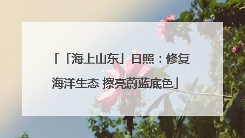 「海上山东」日照：修复海洋生态 擦亮蔚蓝底色