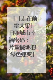 「走在前 挑大梁」日照城市幸福密码：一片盐碱地的绿色蝶变
