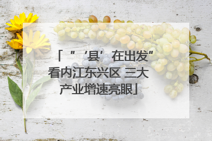 “‘县’在出发”看内江东兴区 三大产业增速亮眼