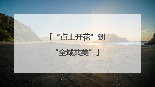 “点上开花”到“全域共美”