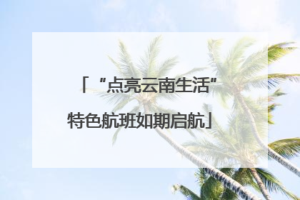 “点亮云南生活”特色航班如期启航