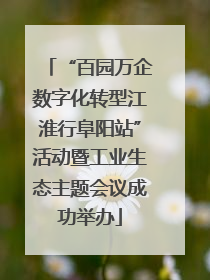 “百园万企数字化转型江淮行阜阳站”活动暨工业生态主题会议成功举办