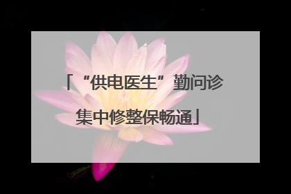 “供电医生”勤问诊 集中修整保畅通