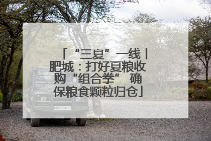 “三夏”一线丨肥城：打好夏粮收购“组合拳” 确保粮食颗粒归仓