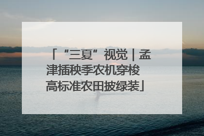 “三夏”视觉｜孟津插秧季农机穿梭 高标准农田披绿装