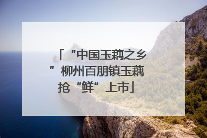 “中国玉藕之乡”柳州百朋镇玉藕抢“鲜”上市