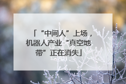 “中间人”上场，机器人产业“真空地带”正在消失
