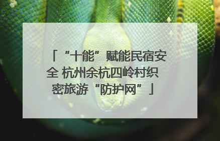 “十能”赋能民宿安全 杭州余杭四岭村织密旅游“防护网”