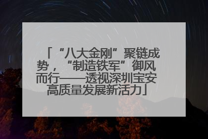 “八大金刚”聚链成势，“制造铁军”御风而行——透视深圳宝安高质量发展新活力