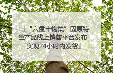 “六盘丰物集”固原特色产品线上销售平台发布 实现24小时内发货