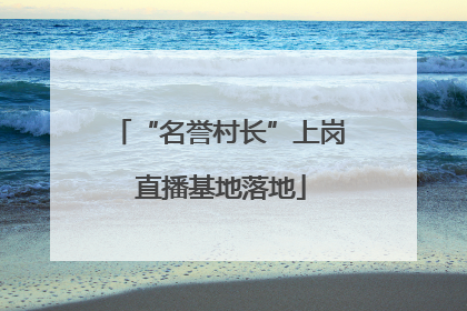 “名誉村长”上岗 直播基地落地