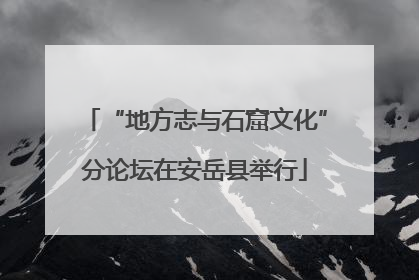 “地方志与石窟文化”分论坛在安岳县举行