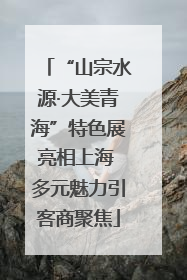 “山宗水源·大美青海”特色展亮相上海 多元魅力引客商聚焦