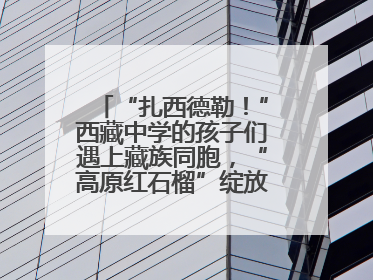 “扎西德勒！”西藏中学的孩子们遇上藏族同胞，“高原红石榴”绽放荆楚大地