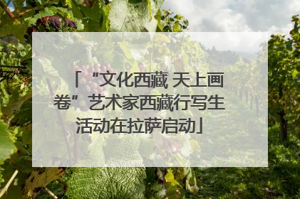 “文化西藏 天上画卷”艺术家西藏行写生活动在拉萨启动