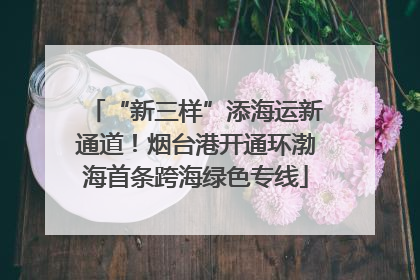 “新三样”添海运新通道！烟台港开通环渤海首条跨海绿色专线