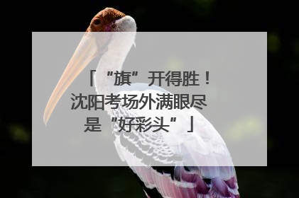 “旗”开得胜！沈阳考场外满眼尽是“好彩头”