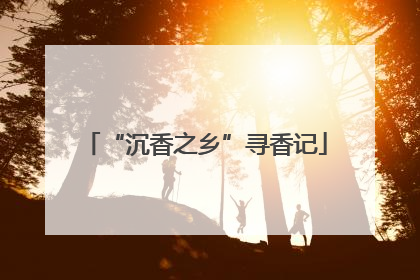 “沉香之乡”寻香记