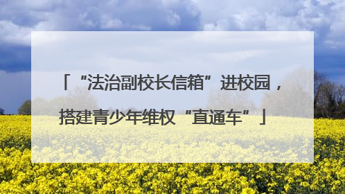 “法治副校长信箱”进校园，搭建青少年维权“直通车”
