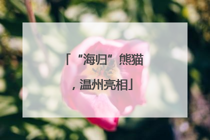 “海归”熊猫，温州亮相