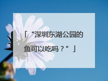 “深圳东湖公园的鱼可以吃吗？”