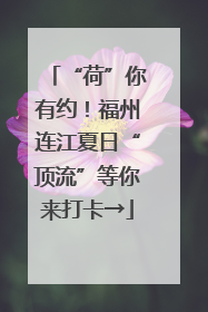“荷”你有约！福州连江夏日“顶流”等你来打卡→