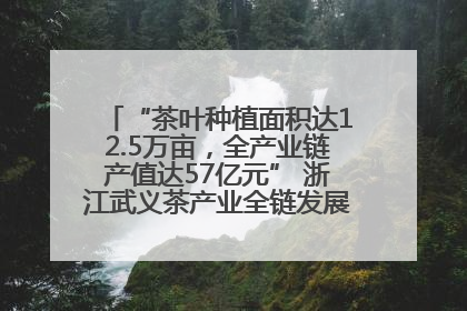 “茶叶种植面积达12.5万亩，全产业链产值达57亿元” 浙江武义茶产业全链发展“加速度”