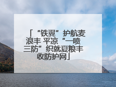 “铁翼”护航麦浪丰 平凉“一喷三防”织就夏粮丰收防护网
