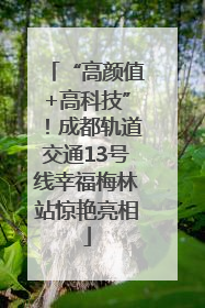 “高颜值+高科技”！成都轨道交通13号线幸福梅林站惊艳亮相