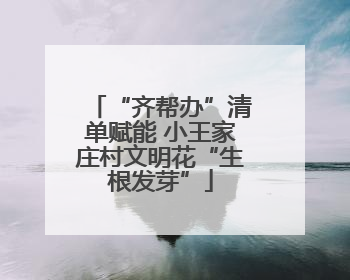 “齐帮办”清单赋能 小王家庄村文明花“生根发芽”