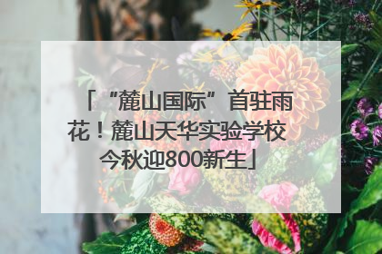 “麓山国际”首驻雨花！麓山天华实验学校今秋迎800新生