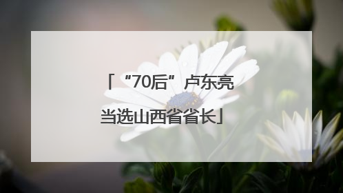 “70后”卢东亮当选山西省省长