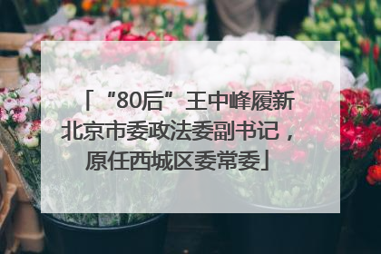 “80后”王中峰履新北京市委政法委副书记，原任西城区委常委