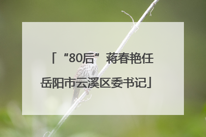 “80后”蒋春艳任岳阳市云溪区委书记