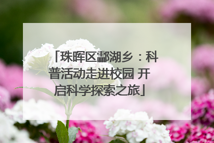 珠晖区酃湖乡：科普活动走进校园 开启科学探索之旅