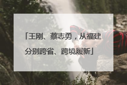 王刚、蔡志勇，从福建分别跨省、跨境履新