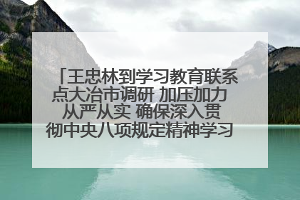 王忠林到学习教育联系点大冶市调研 加压加力 从严从实 确保深入贯彻中央八项规定精神学习教育取得实效