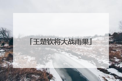 王楚钦将大战雨果