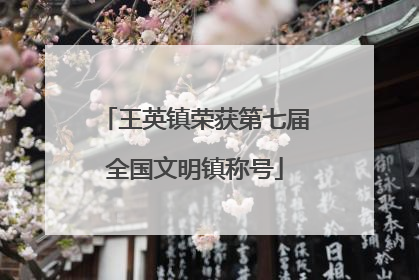 王英镇荣获第七届全国文明镇称号
