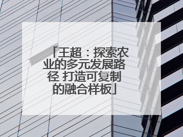 王超：探索农业的多元发展路径 打造可复制的融合样板