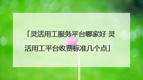 灵活用工服务平台哪家好 灵活用工平台收费标准几个点