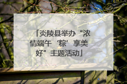 炎陵县举办“浓情端午‘粽’享美好”主题活动